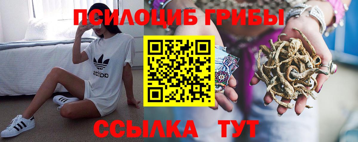 Галлюциногенные грибы Psilocybe  Вход с VPN  Дмитров 