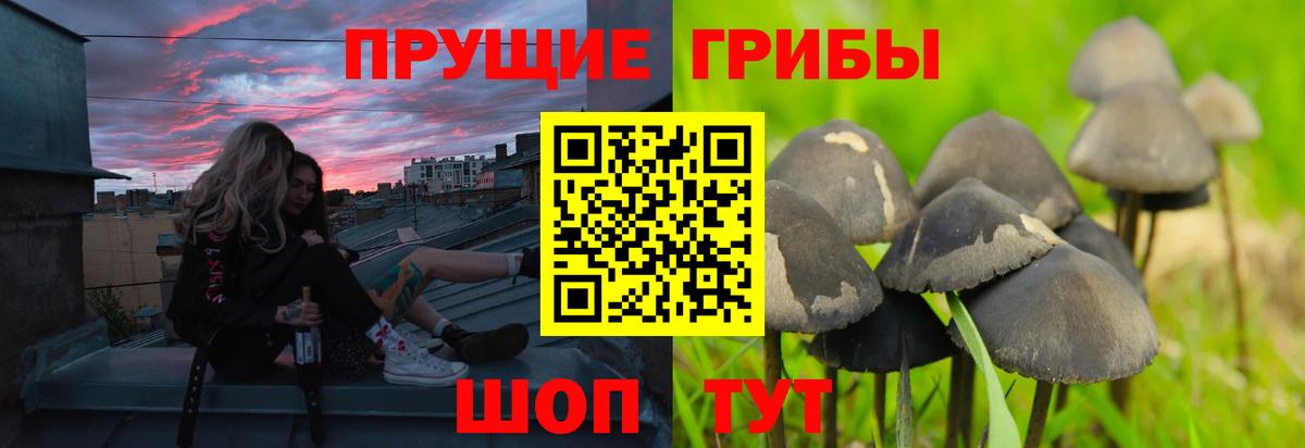 Галлюциногенные грибы мухоморы Дмитров